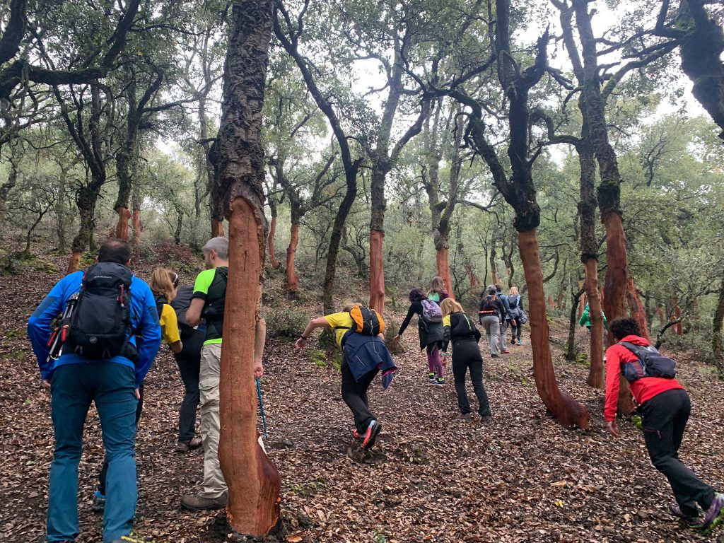 Grupo de excursionistas subiendo una ladera con esfuerzo