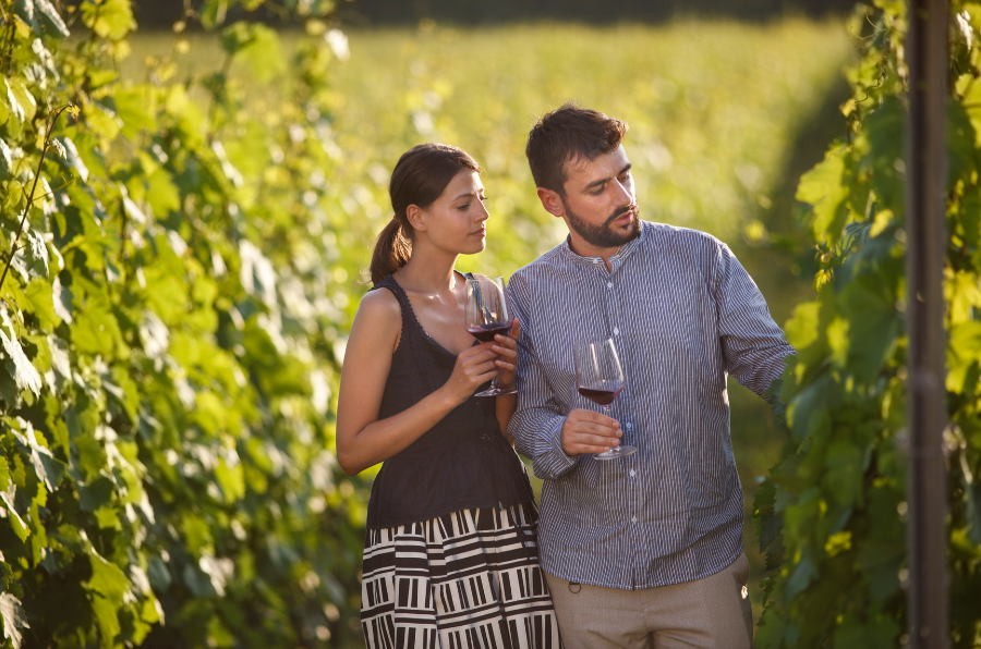 Una pareja realiza una visita guiada a un viñedo mientras prueba los vinos