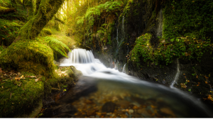 Cascada rodeada de naturaleza en El Bierzo